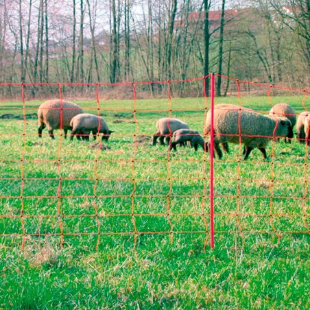 Rete di contenimento per ovini