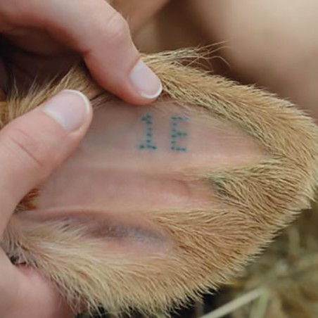 Pinza per tatuaggi