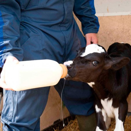 Biberon con maniglia