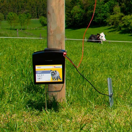 Elettrificatore trapper® B12