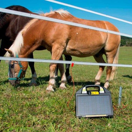 Elettrificatore farmer® AS50