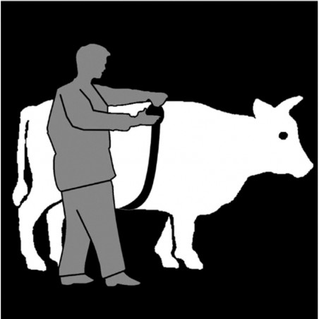 Nastro pesa bestiame