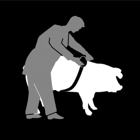 Nastro pesa bestiame