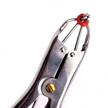 Pinza per castrazione suini