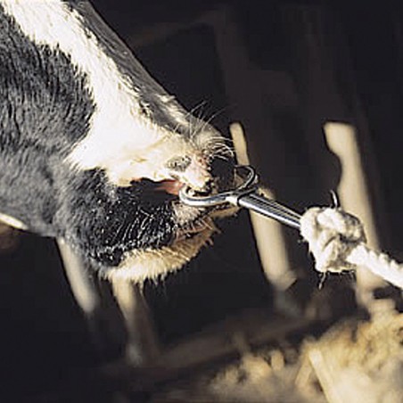 Mordecchia per bovini