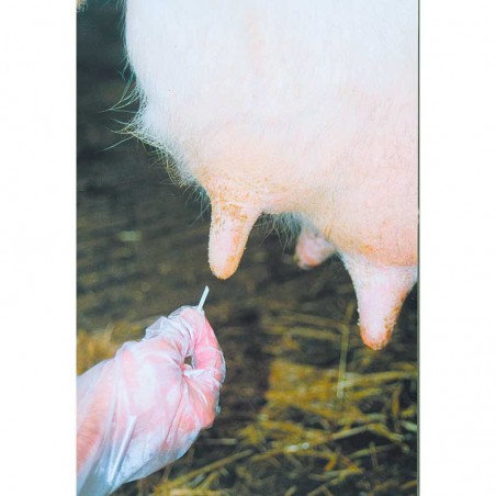 Cannule per capezzoli