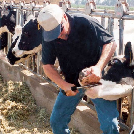 Applicatore per bolo ruminale