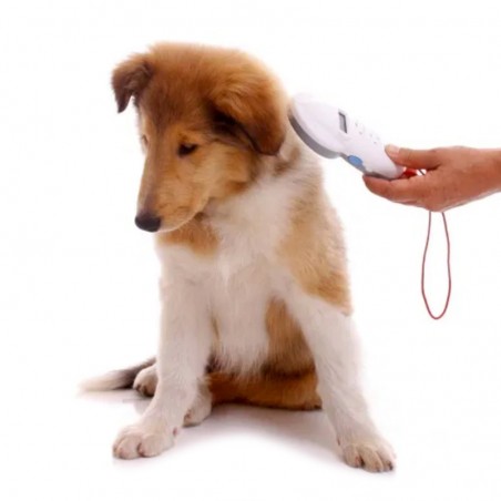 Lettore di microchip