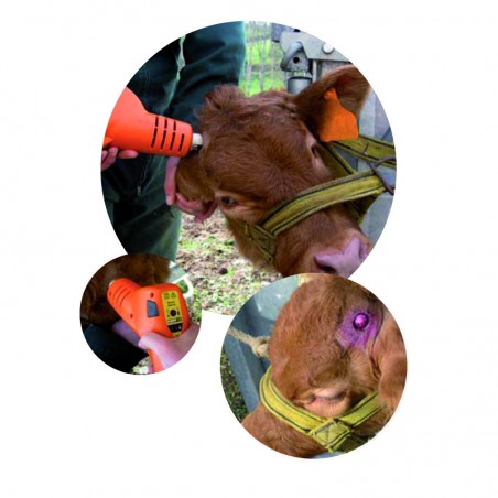 Brucia corna a batteria