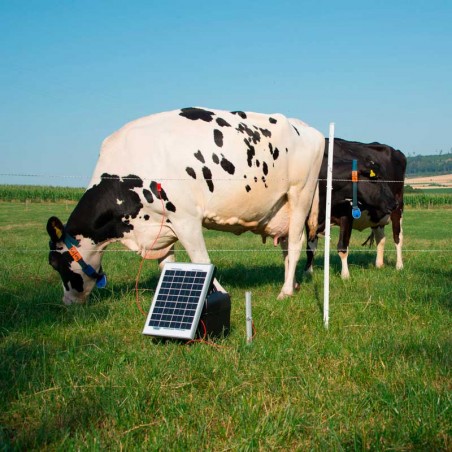 Elettrificatore farmer® AN1000Solar