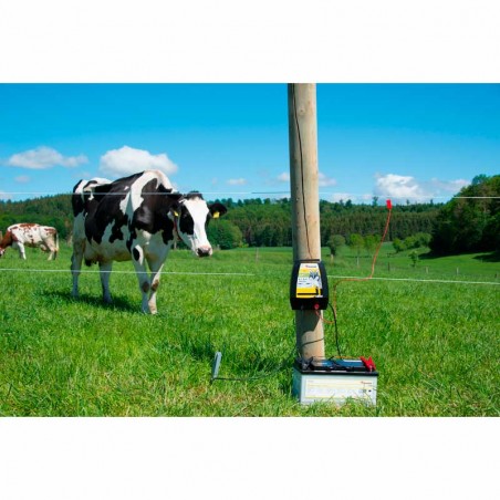 Elettrificatore farmer® AN200