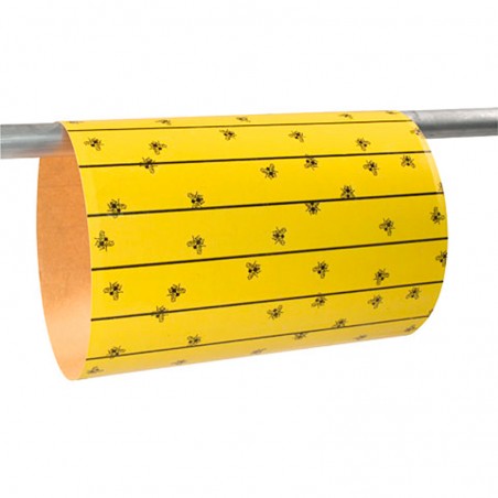 Foglio cattura mosche