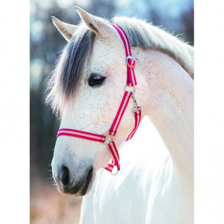 Cavezza per cavalli in nylon