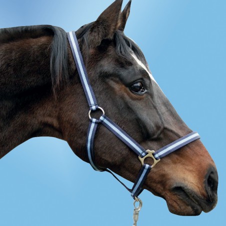 Cavezza per cavalli in nylon