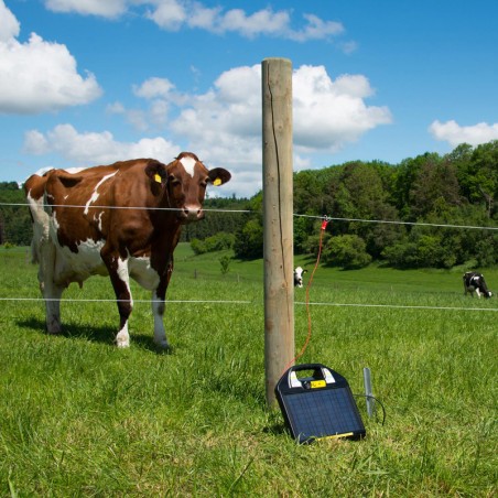 Elettrificatore farmer® AS50
