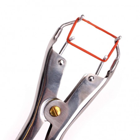 Pinza per castrazione suini